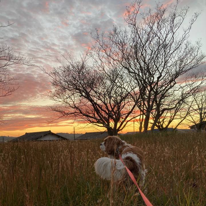 205943e5 91a6 4066 a472 41ebe81d1281 1763984990740