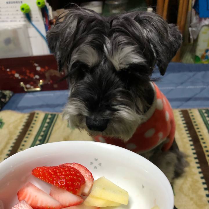 205988c3 e9bf 490d 85f6 2818ed821331 1674741676692