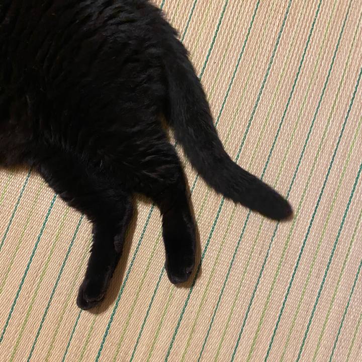 2059a16b 962f 422a 924b ef10f5cc5195 1623587058497