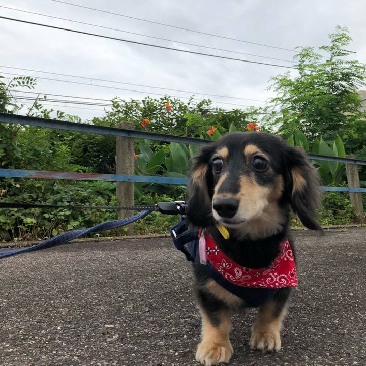 2059ab23 5ecc 4a2c a5bc 9181157e562c 1594770943266