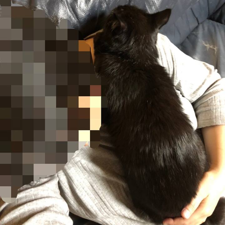 2059c12e 7852 4dd3 85bd e1dae831d5e5 1570019839594