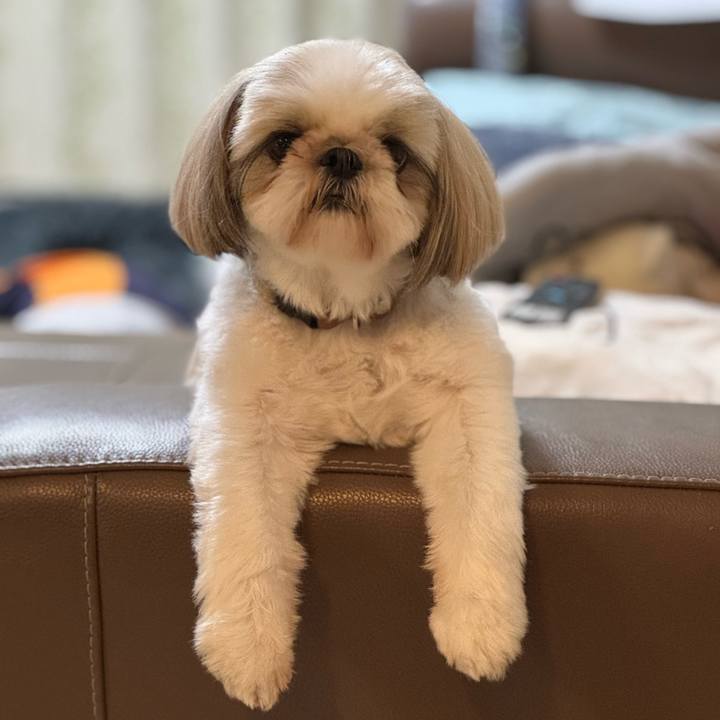 2059d681 20dc 4b27 af70 f2ab453b86f1 1750334422545