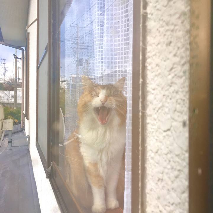 2059fe41 e7dc 4d29 90ec 8b2aaf37552f 1579932365299