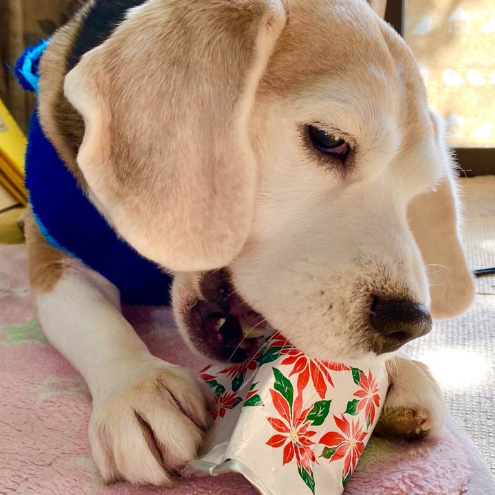 205a1fda 677a 48b0 a26c 4c169aa6f82a 1613190387318