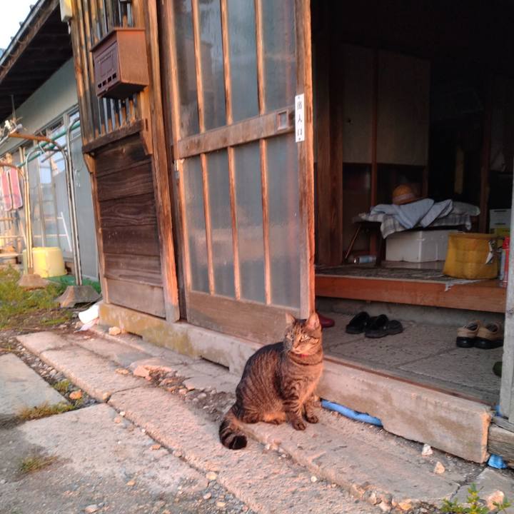 205a5cc2 5e42 48d6 aff2 5efb3951bcfb 1695075249839