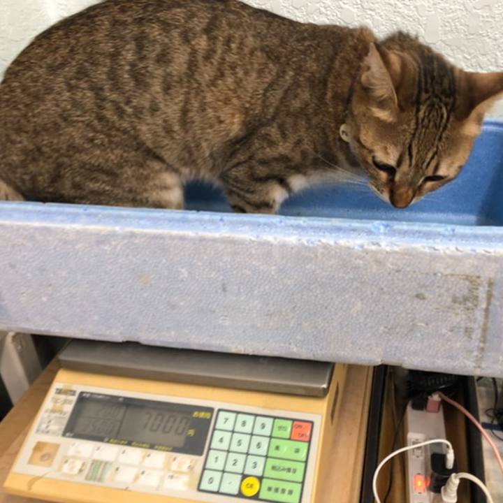 205a783f 0d72 4621 9d14 361956b2c4a8 1634701714753