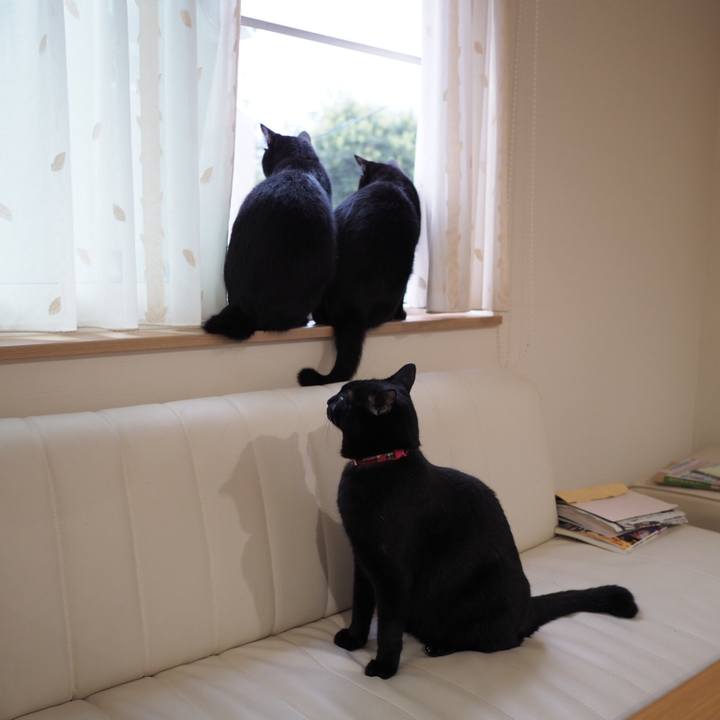 205ab360 9bcd 4261 b246 a3f43592b820 1535412497146