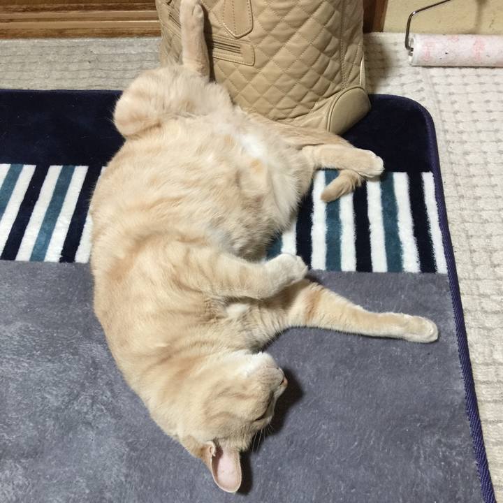 205ac167 ae5c 43b2 a8aa 9f1cb50e621f 1528457409534