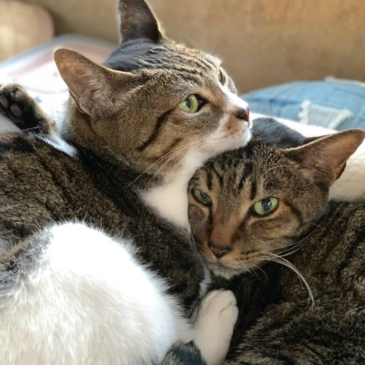 205acd2c 558d 48a6 8f83 13c5243a3cd0 1573087960657