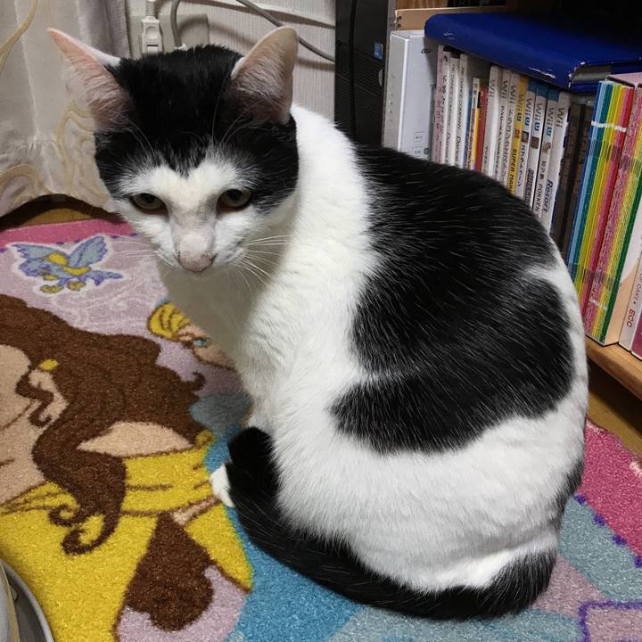 205ae2aa 0b1f 4c35 805a 072228126b8b 1518796395969