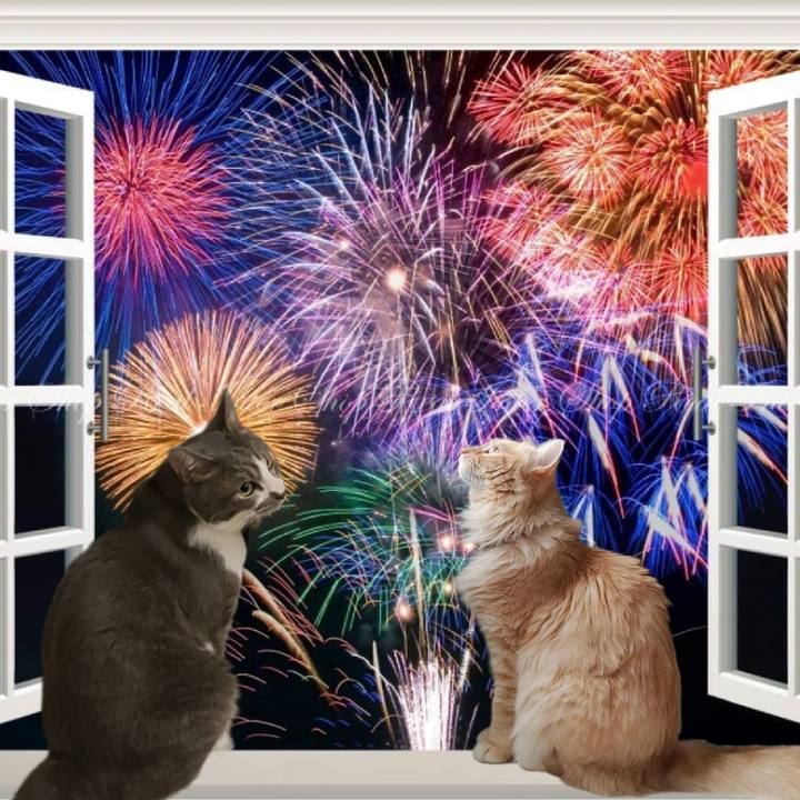 205aed96 d8cb 4c16 8049 431d297470bd 1661600039441