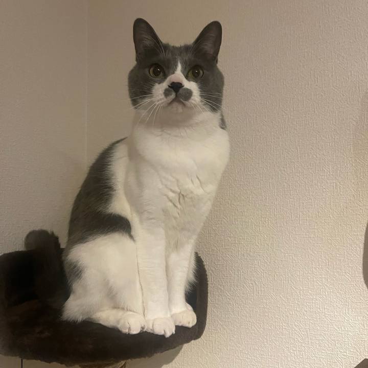 205b1112 646d 4ba9 aea3 731ed82c89e2 1676992089340