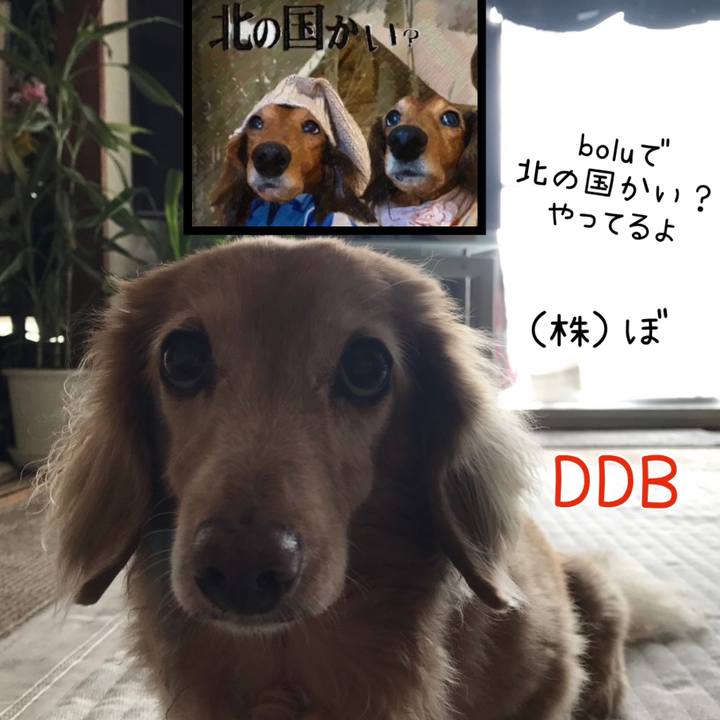 205b2eab 900b 4138 b73b c3a2eed2f7f7 1691799935699