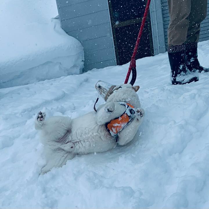 205b3799 0ad2 4688 a684 ef2634e42487 1676245180987