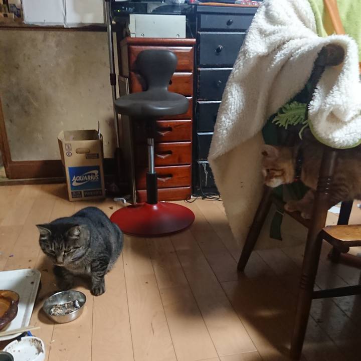 205b3a59 19b1 406e aa9e 0e975deb7d49 1636018586978