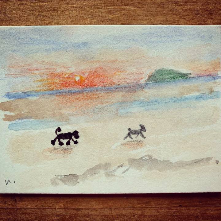 205b6438 9379 4de2 beb6 3c9db3e2ded8 1610591284115