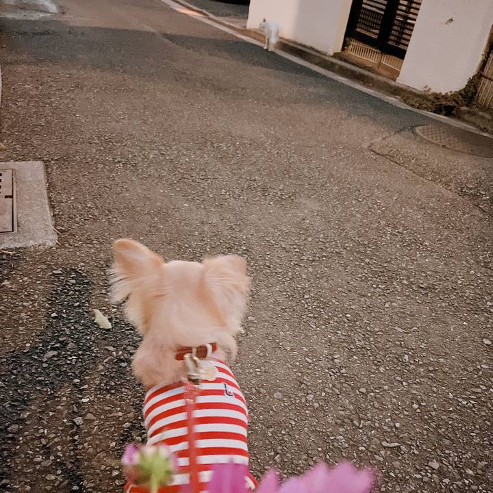 205b743d 02e8 4144 b9b1 c74141ed7a28 1664271526263