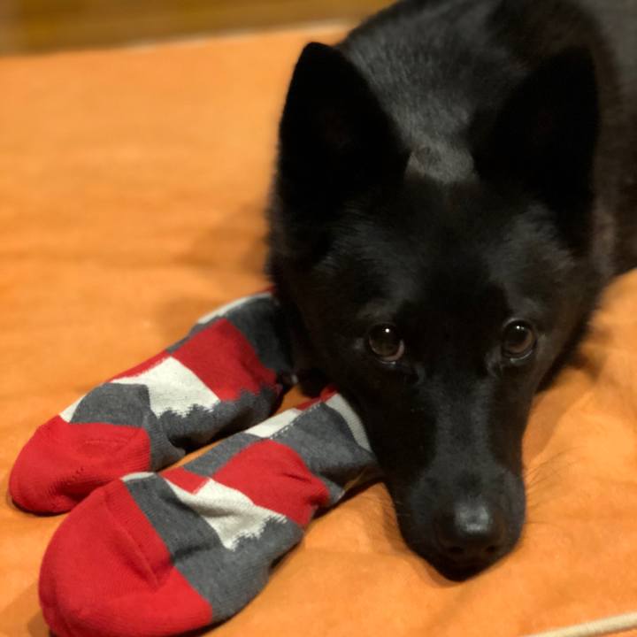 205b9beb 2b4b 4188 9942 20756f673121 1602860442699