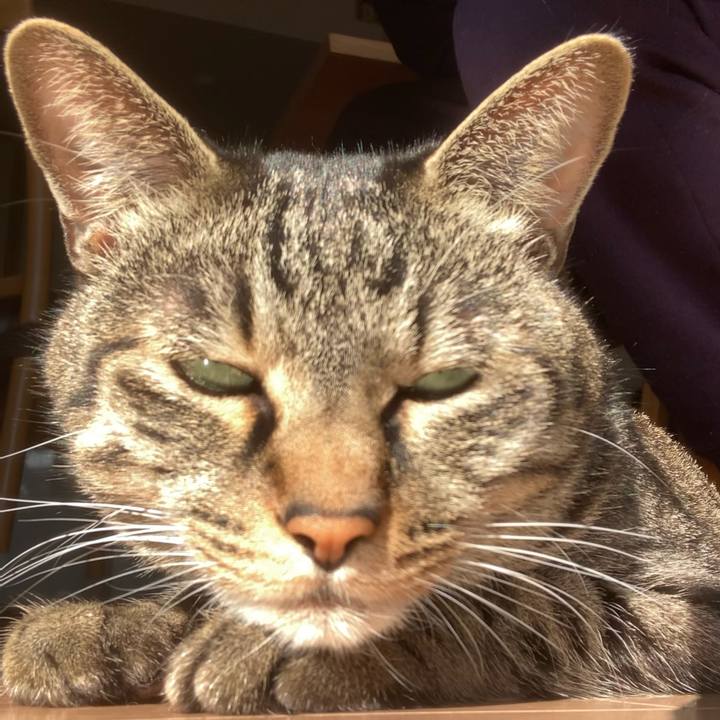 205b9eb1 be17 425e aed4 ea725803b2c4 1610944533668