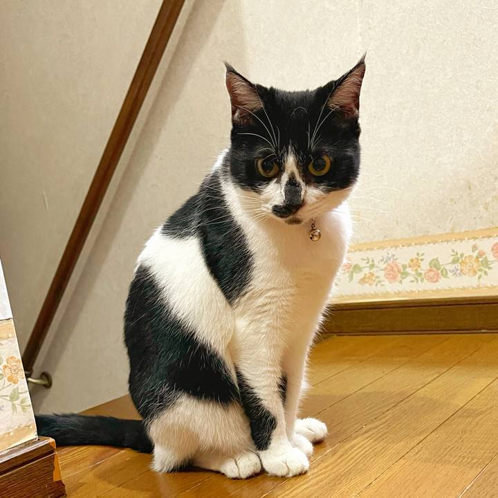 205bcdde 3f7b 4adb 9607 c3e5b10d24e7 1757372059241