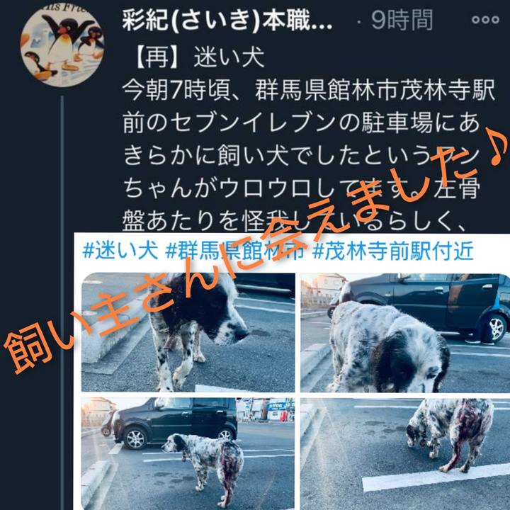 205bdeaa 30e8 47fb 99bf cd63ffe9add3 1611126355723