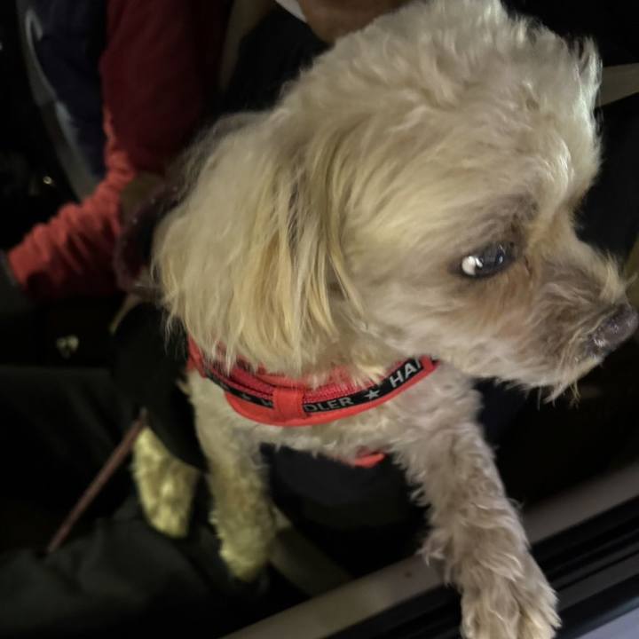 205bec30 ba80 459e ab85 b5925afa013e 1733049438301