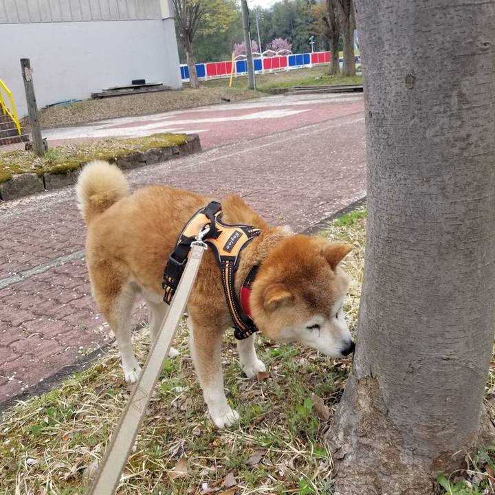 205bf373 ca16 4522 ad9f dd7b70966e51 1713675817101