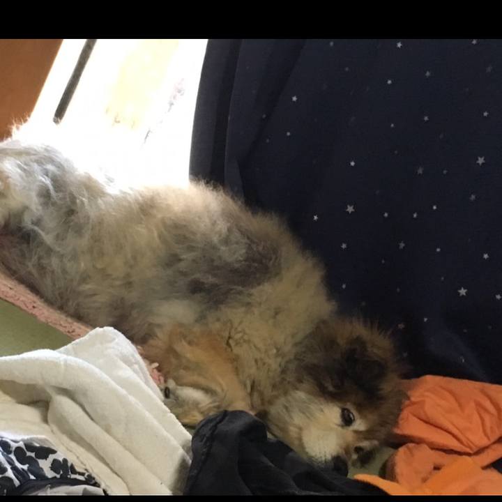 205bfcef f38a 485b 94ee 735c7d838847 1555719343227