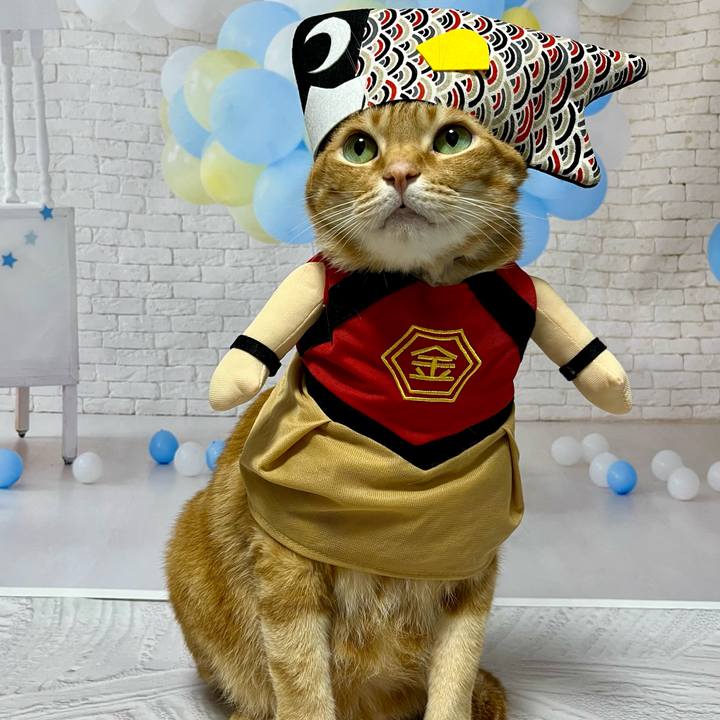 205c0d00 5e15 4e9b 95a0 775dcaddedd6 1714866716840