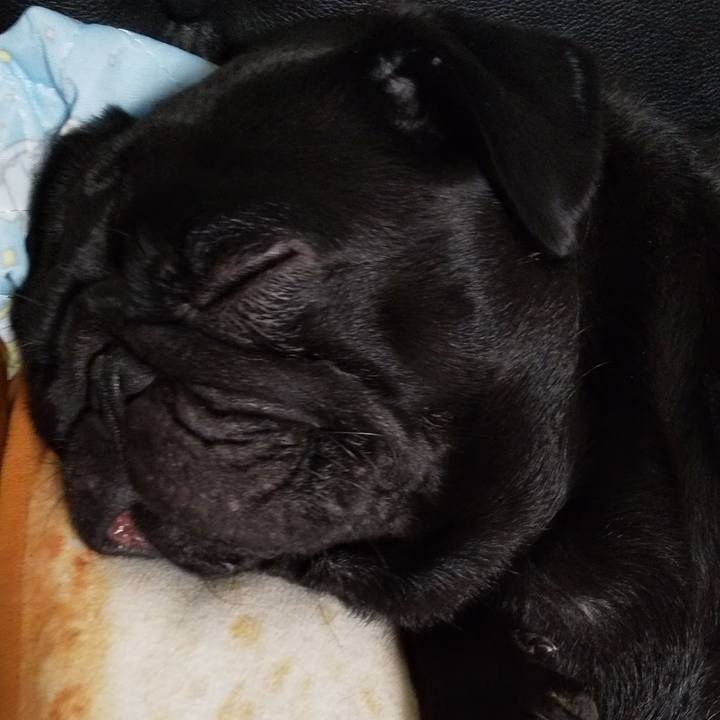 205c2db6 f772 4d6c 8e38 d00d5e8c216c 1569162068207