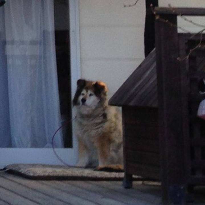 205c50e5 cd75 4658 ab03 7e99d878d11b 1613625442847