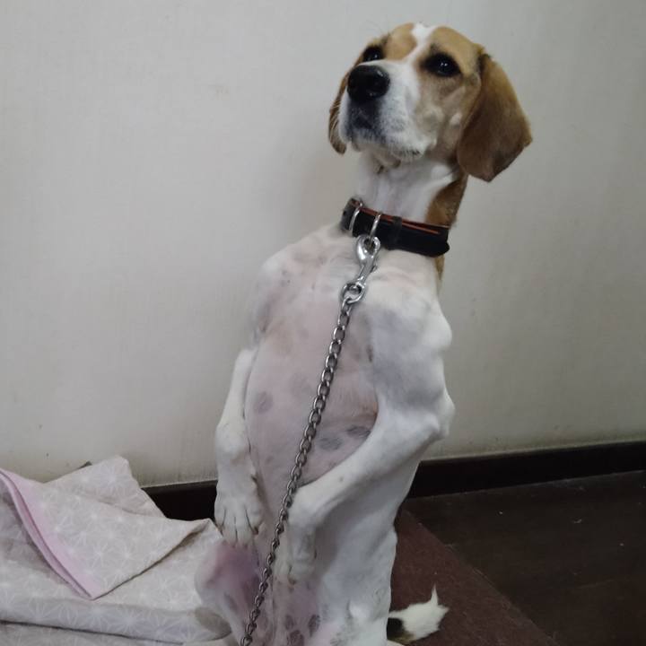 205c7d28 c1c2 4c95 898c cd0909e834f6 1640265931842