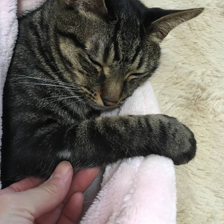 205cb0a6 aa81 434f 91f7 26646764ec8b 1508458700548