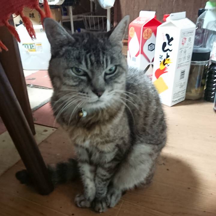 205cb208 8365 4d81 99b7 fdae854d6784 1568749530414