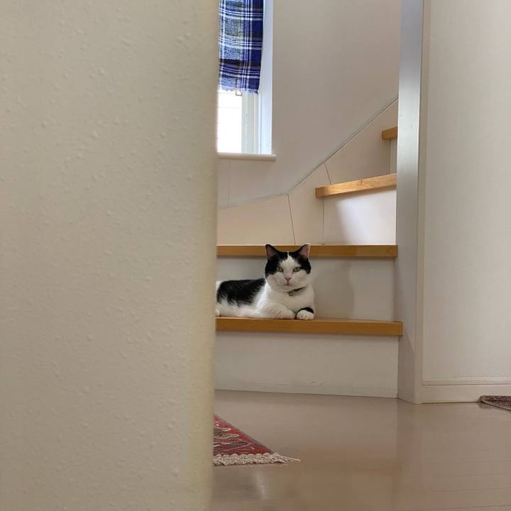 205cb2c9 04d6 4099 9b86 6e96b536970a 1759185813356