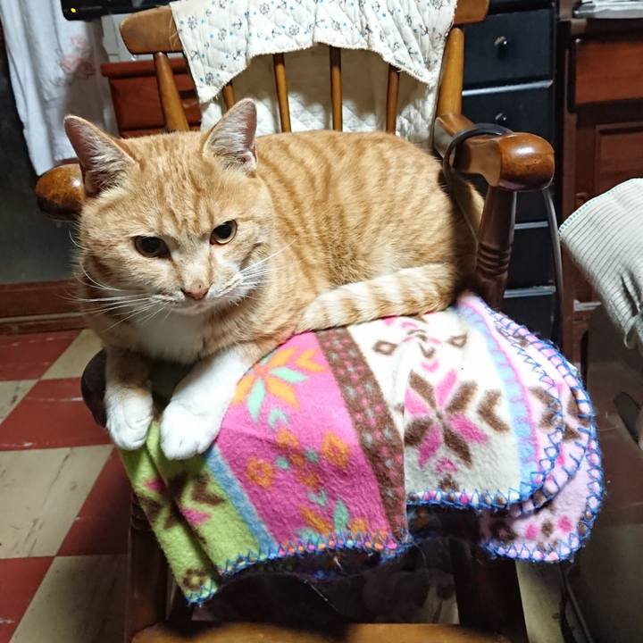 205d1c31 b2d3 4dca 8249 02df7e9b2059 1578169898256