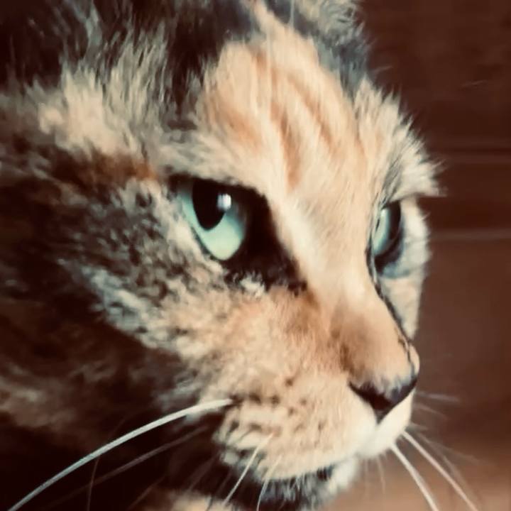 205d295a 9519 49a7 b6af 2470f36bb6ef 1740448841933