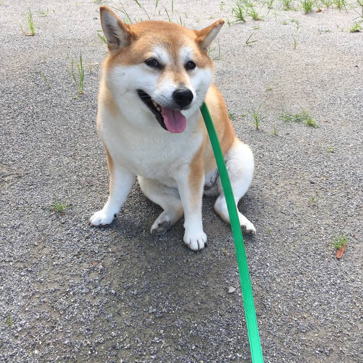 205db32f d365 4a94 a0dc dfd73aa70326 1599092400023