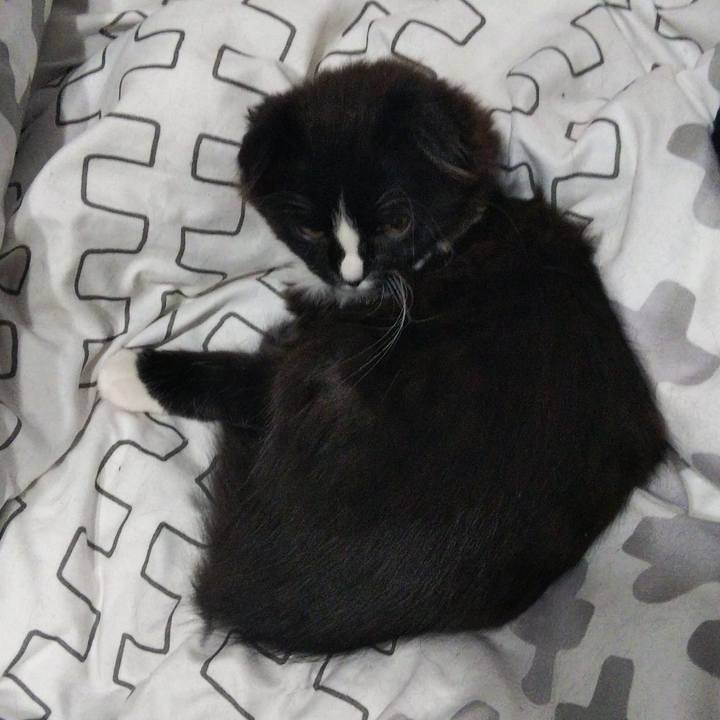 205dea28 6730 4e5f 8257 5936c9f0a947 1640849322742