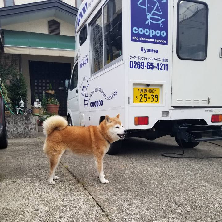 205df766 a988 4e9c a55e a79c9ce48cd0 1697069333716