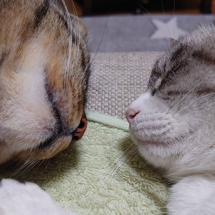 205e0eaf f983 495c b16c 2658960449e0 1640352347165