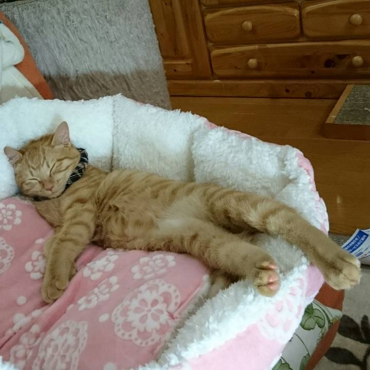 205e1e49 f5ea 4ba2 9c68 0442d8f9bdbf 1545140412311