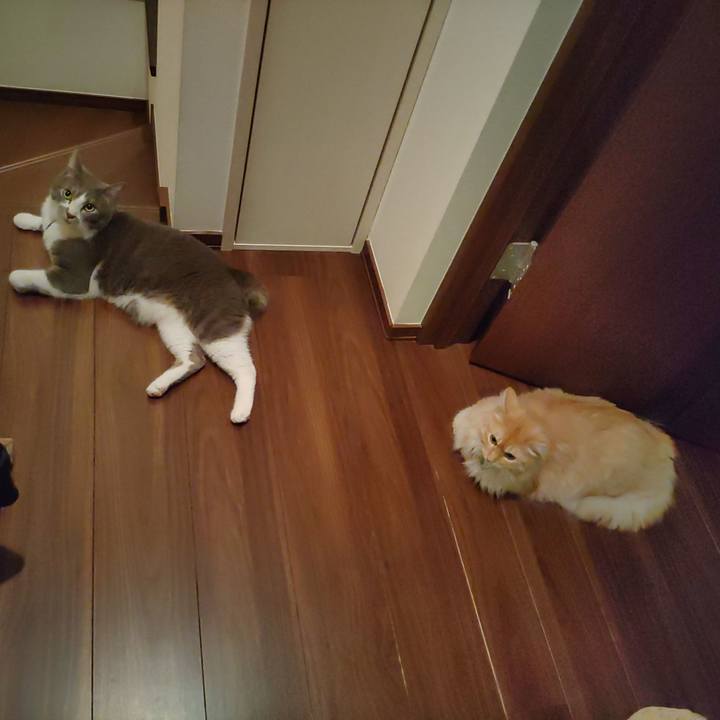 205e3d63 62ba 46b9 be96 55a445060bc0 1657978242497