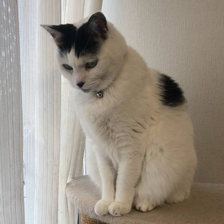 205e607d 651e 45ee 9b58 c2e4556f3cbc 1579131168977