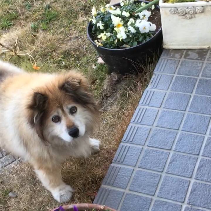 205eb682 e984 4544 9a79 87f1eb6e3f73 1550134184195