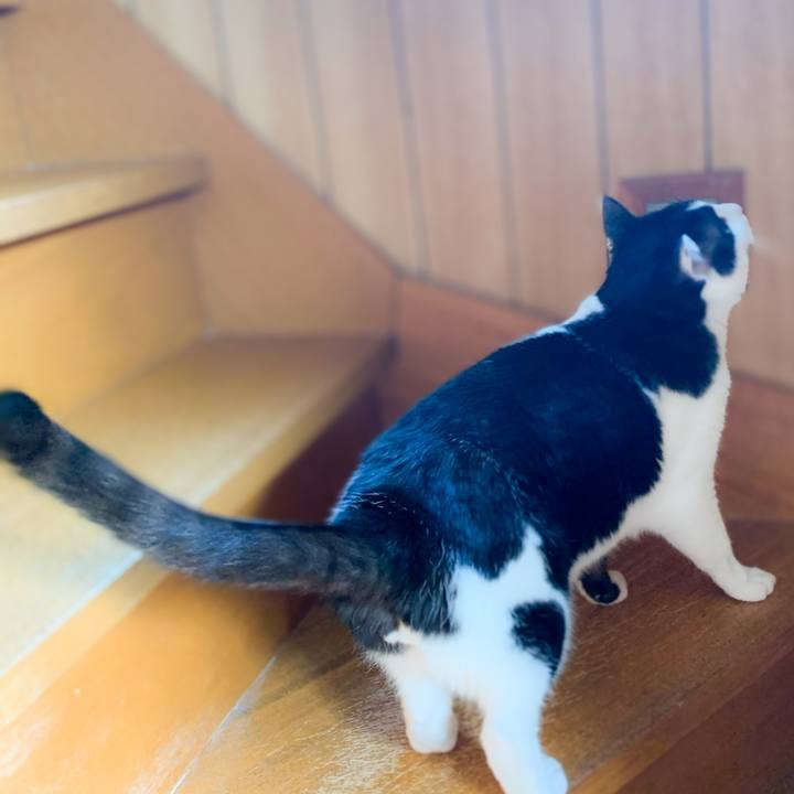 205f0ff9 e6c1 4205 8ff6 86cd921b0b7a 1588558061569