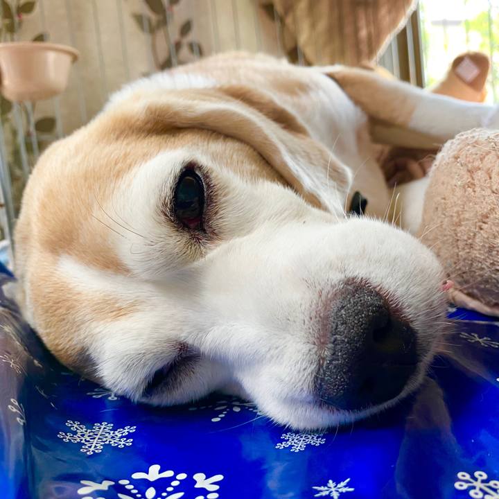 205f3027 54e8 47fe 9e3f d9cd5f0222cd 1595217934766