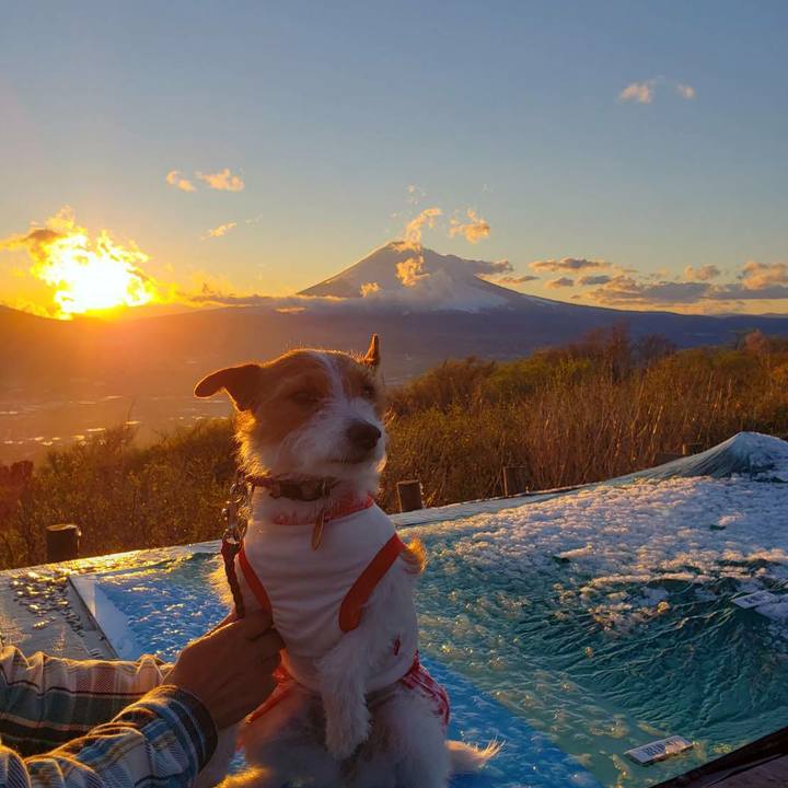 205f333c ab2f 464d a2d6 c028fa4dd87a 1556358885367