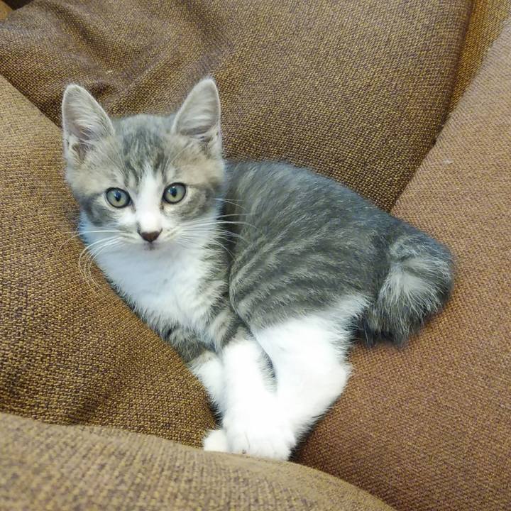 205f3865 8d1c 4801 bece 863561f1b197 1605137197496