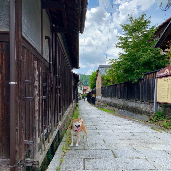 205f6f02 871d 490f a2ed c7ba90ac4673 1623841789444